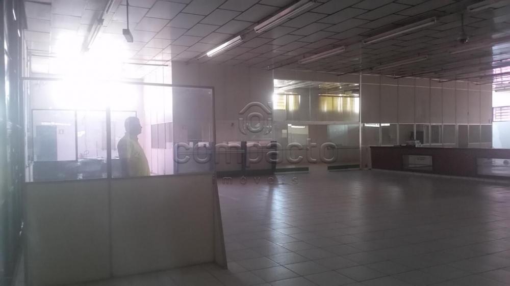 Alugar Comercial / Barrac&atilde;o em S&atilde;o Jos&eacute; do Rio Preto R$ 40.000,00 - Foto 10