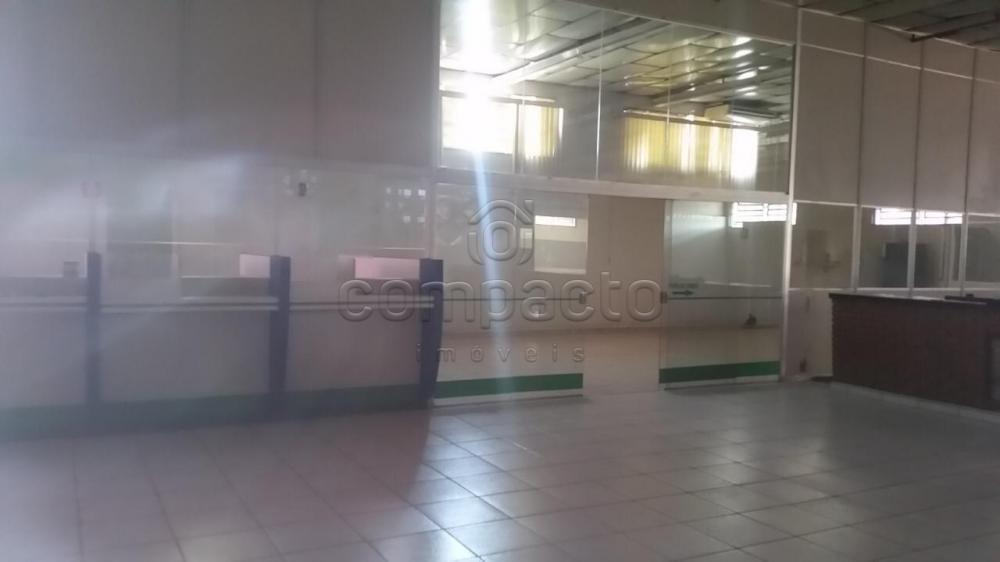 Alugar Comercial / Barrac&atilde;o em S&atilde;o Jos&eacute; do Rio Preto R$ 40.000,00 - Foto 14