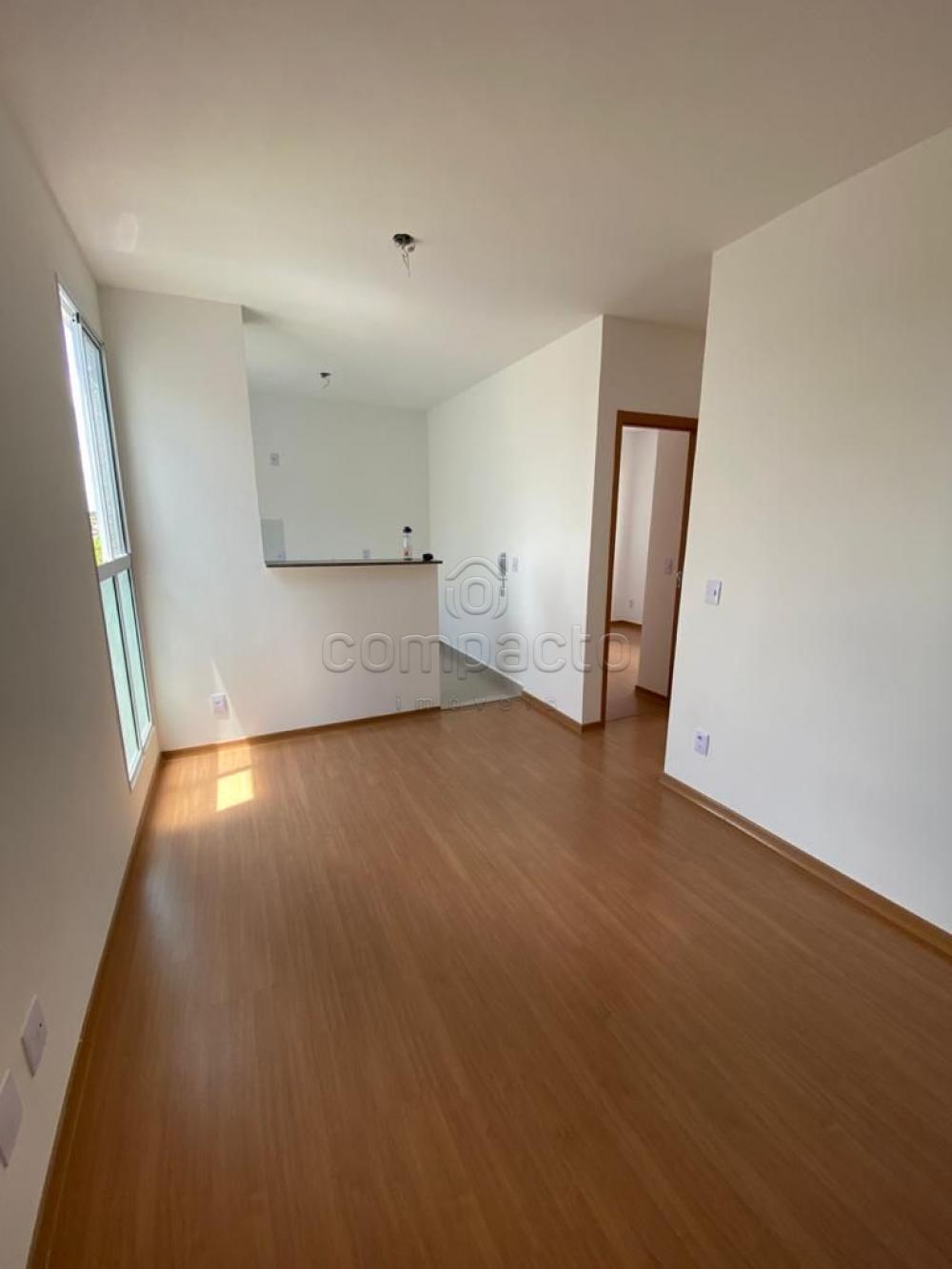 Apartamento Padrão em São José do Rio Preto