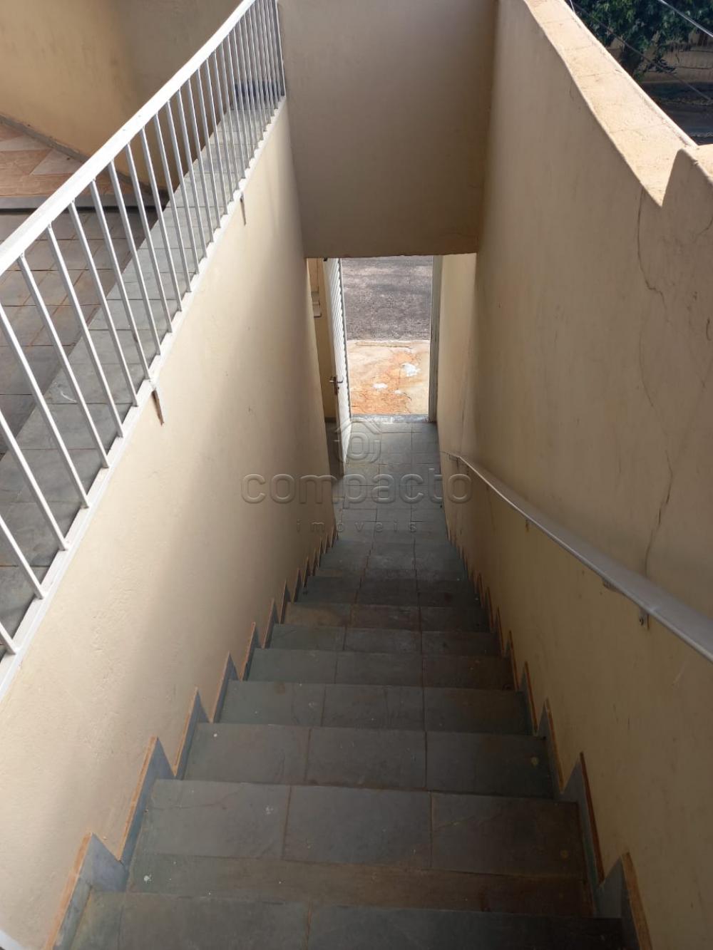 Casa Padrão em São José do Rio Preto