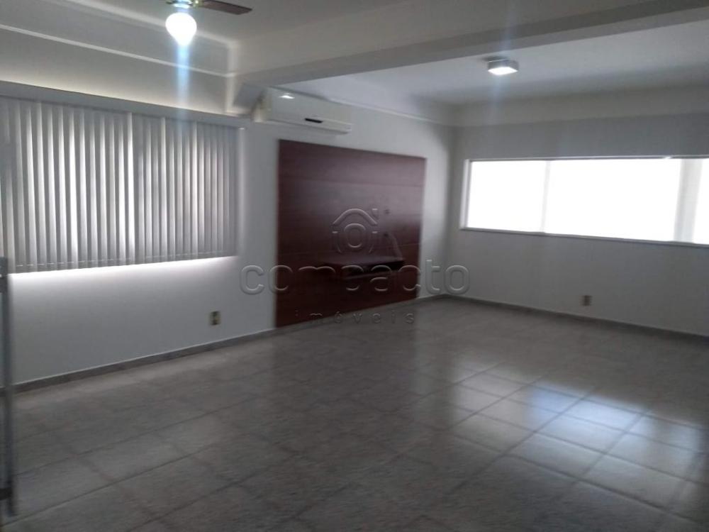 Alugar Casa / Padr&atilde;o em S&atilde;o Jos&eacute; do Rio Preto R$ 6.000,00 - Foto 2