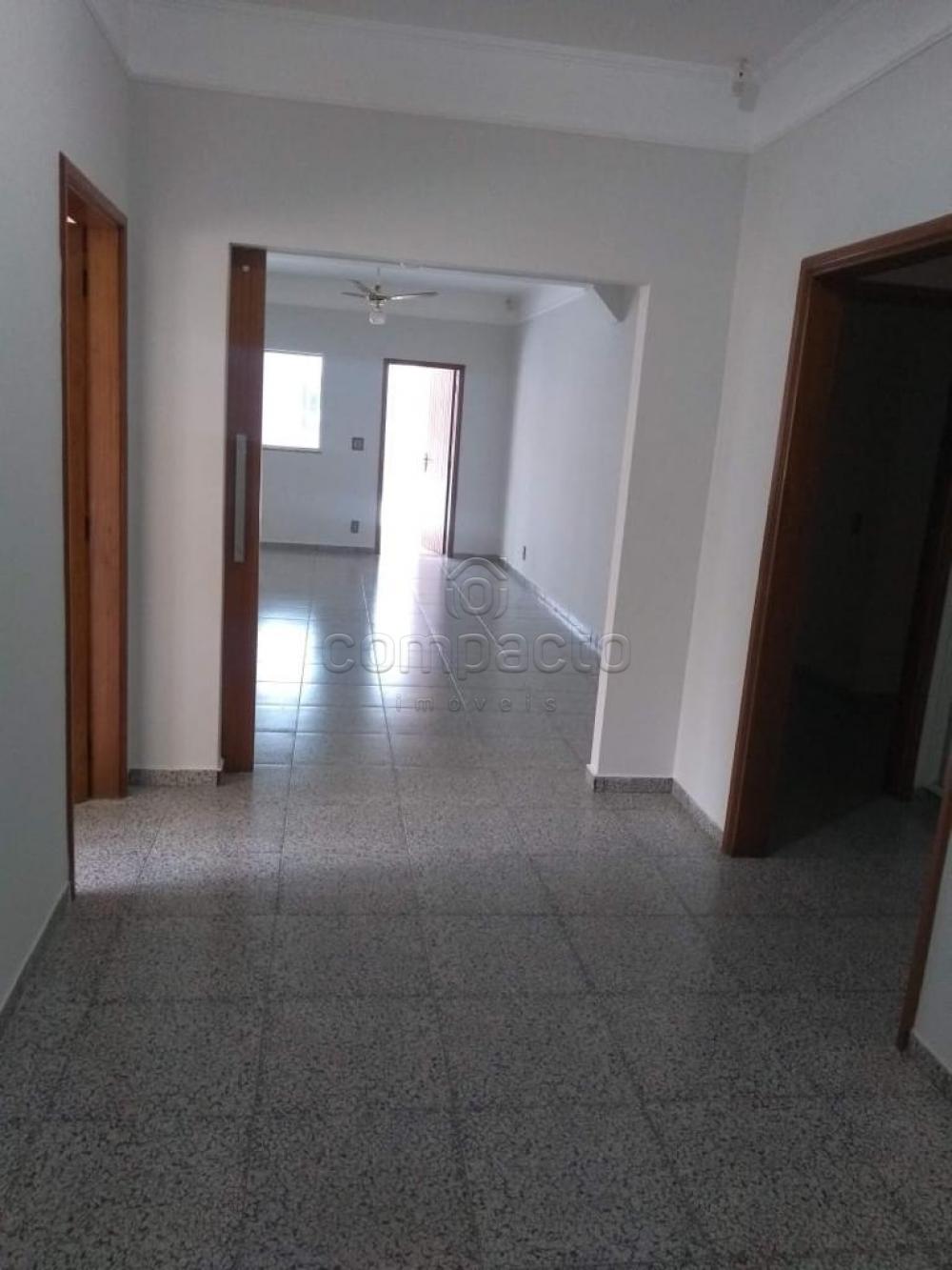 Alugar Casa / Padr&atilde;o em S&atilde;o Jos&eacute; do Rio Preto R$ 6.000,00 - Foto 3