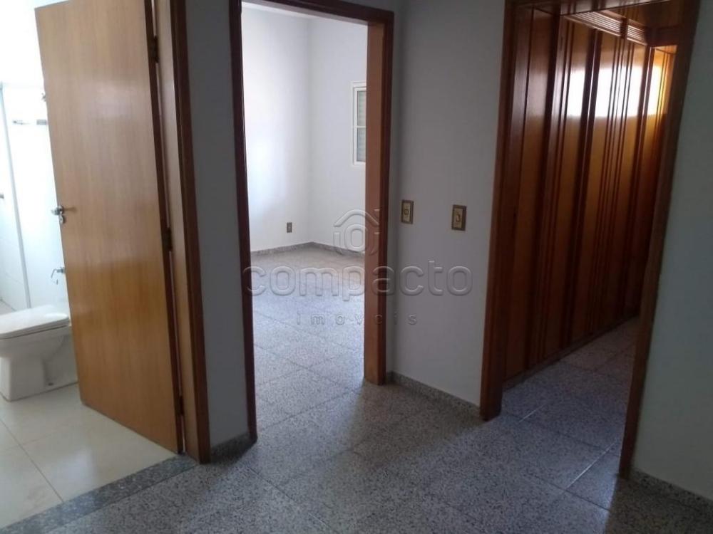 Alugar Casa / Padr&atilde;o em S&atilde;o Jos&eacute; do Rio Preto R$ 6.000,00 - Foto 5