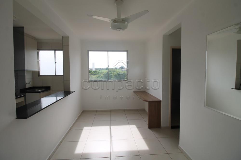 Apartamento Padrão em São José do Rio Preto