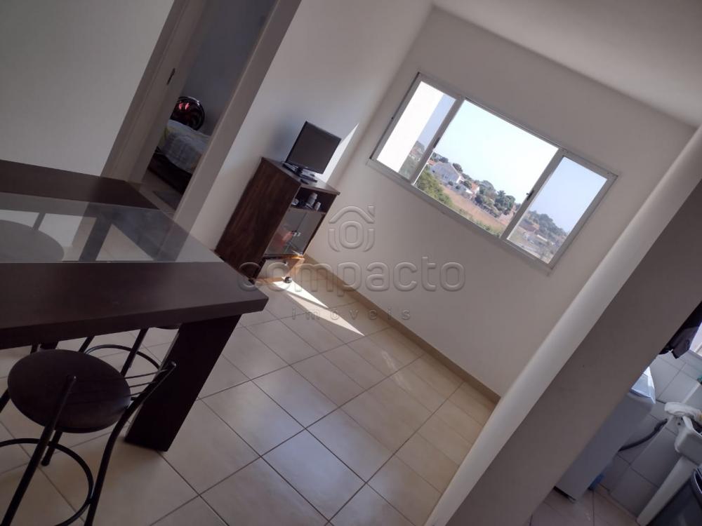 Alugar Apartamento / Padr&atilde;o em S&atilde;o Jos&eacute; do Rio Preto R$ 800,00 - Foto 1