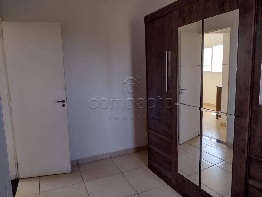 Alugar Apartamento / Padr&atilde;o em S&atilde;o Jos&eacute; do Rio Preto R$ 800,00 - Foto 3