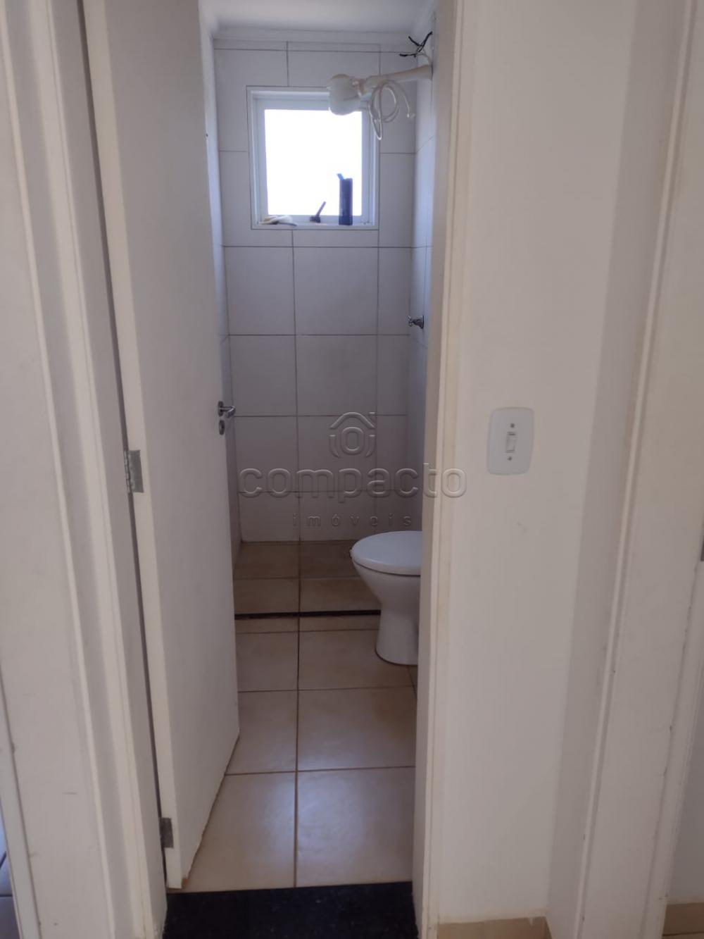 Alugar Apartamento / Padr&atilde;o em S&atilde;o Jos&eacute; do Rio Preto R$ 800,00 - Foto 5