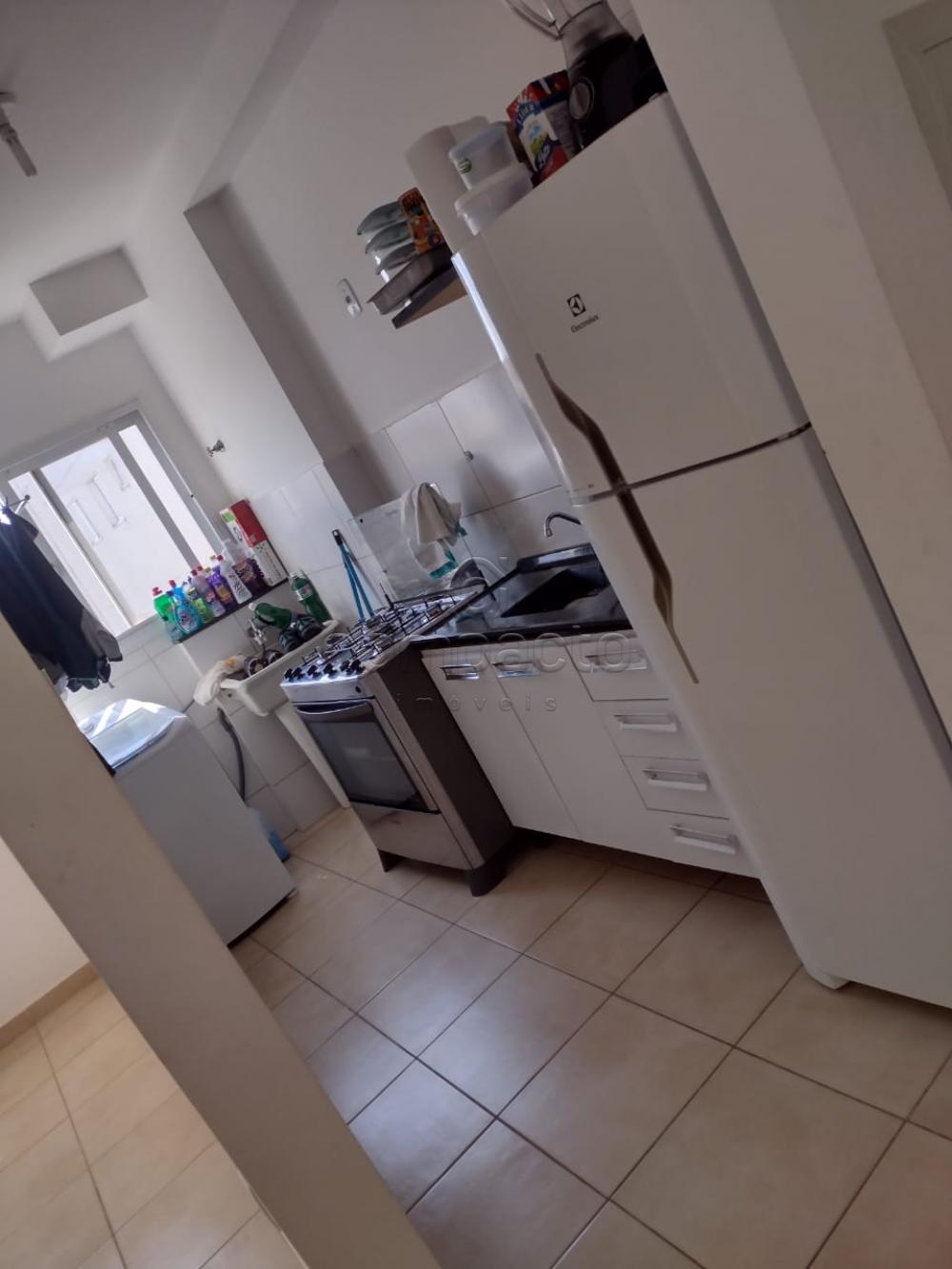 Alugar Apartamento / Padr&atilde;o em S&atilde;o Jos&eacute; do Rio Preto R$ 800,00 - Foto 6