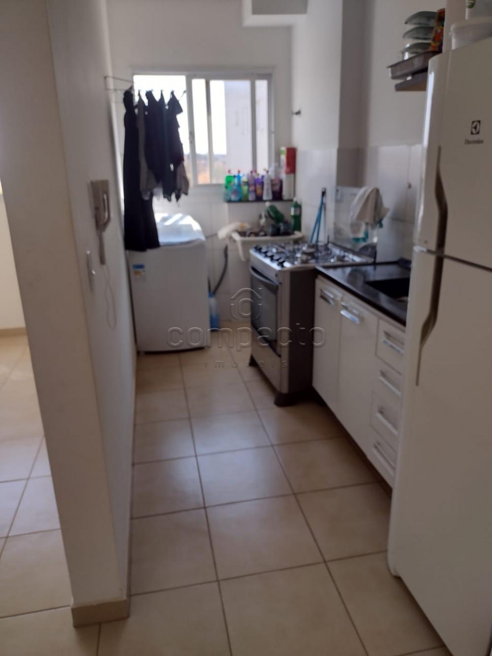 Alugar Apartamento / Padr&atilde;o em S&atilde;o Jos&eacute; do Rio Preto R$ 800,00 - Foto 7