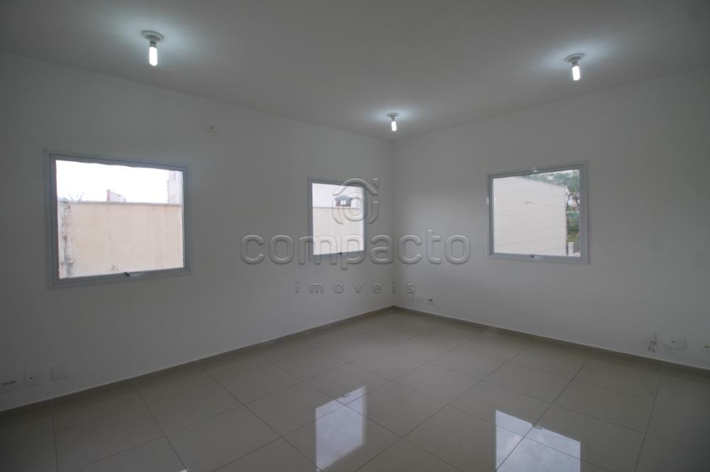 Alugar Comercial / SalaLoja Condom&iacute;nio em S&atilde;o Jos&eacute; do Rio Preto R$ 900,00 - Foto 2
