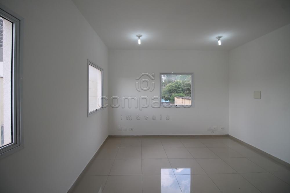 Alugar Comercial / SalaLoja Condom&iacute;nio em S&atilde;o Jos&eacute; do Rio Preto R$ 900,00 - Foto 3
