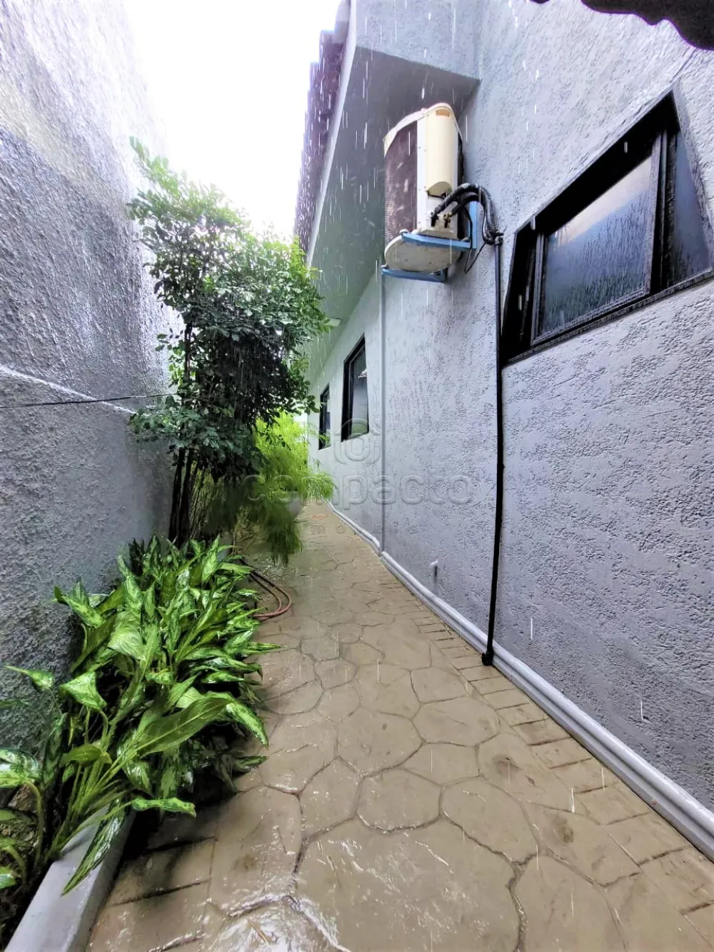 Alugar Casa / Padr&atilde;o em S&atilde;o Jos&eacute; do Rio Preto R$ 4.000,00 - Foto 35