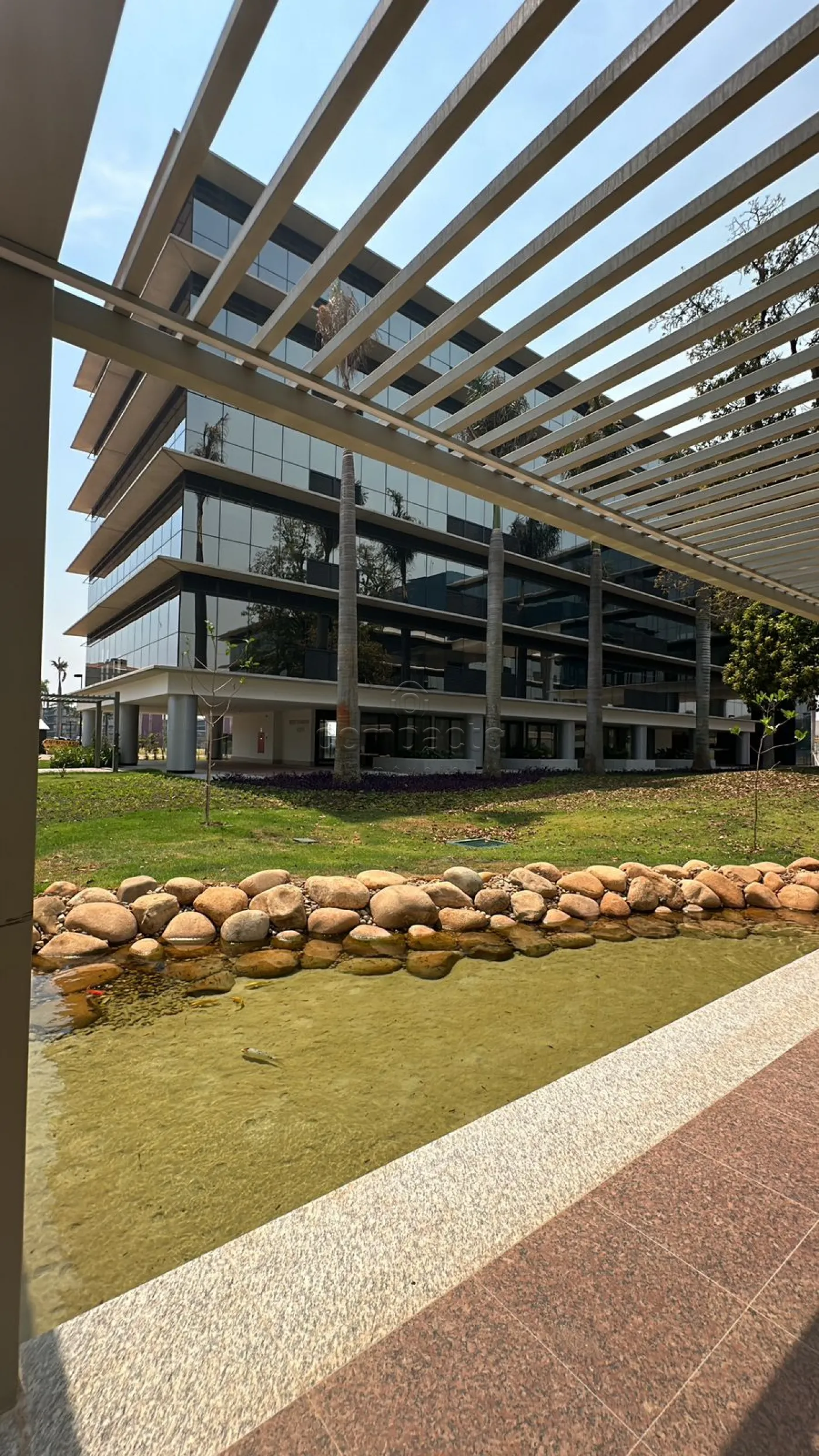 Alugar Comercial / SalaLoja Condom&iacute;nio em S&atilde;o Jos&eacute; do Rio Preto R$ 9.000,00 - Foto 1