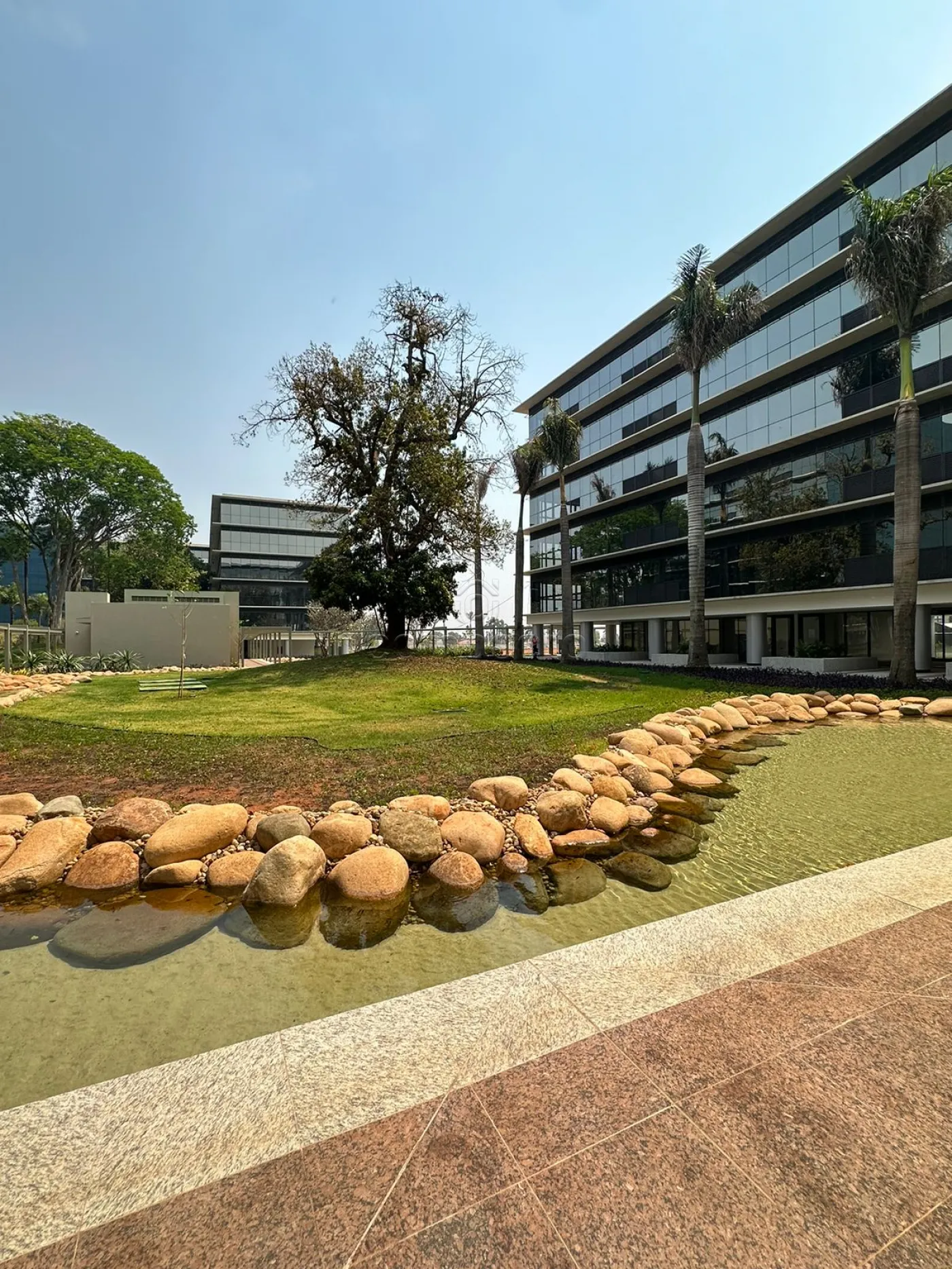 Alugar Comercial / SalaLoja Condom&iacute;nio em S&atilde;o Jos&eacute; do Rio Preto R$ 9.000,00 - Foto 2