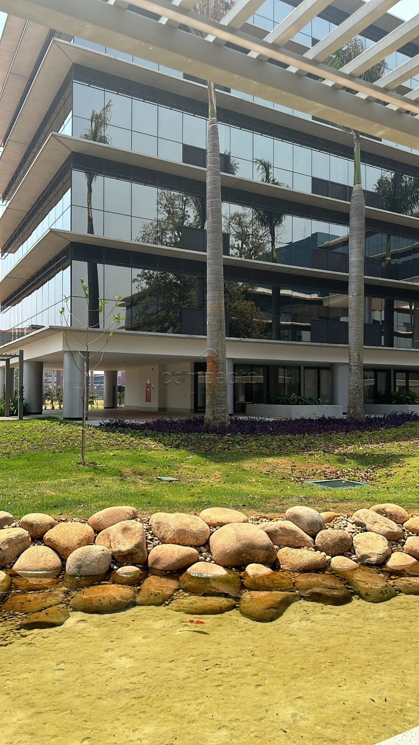 Alugar Comercial / SalaLoja Condom&iacute;nio em S&atilde;o Jos&eacute; do Rio Preto R$ 9.000,00 - Foto 3