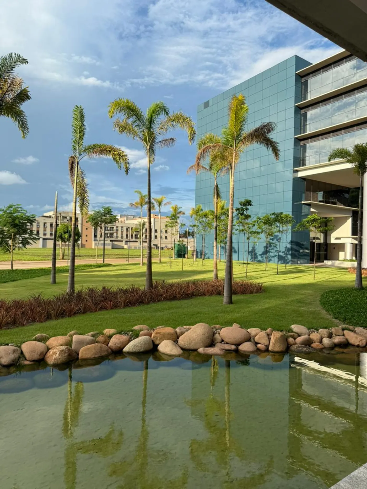 Alugar Comercial / SalaLoja Condom&iacute;nio em S&atilde;o Jos&eacute; do Rio Preto R$ 3.000,00 - Foto 6