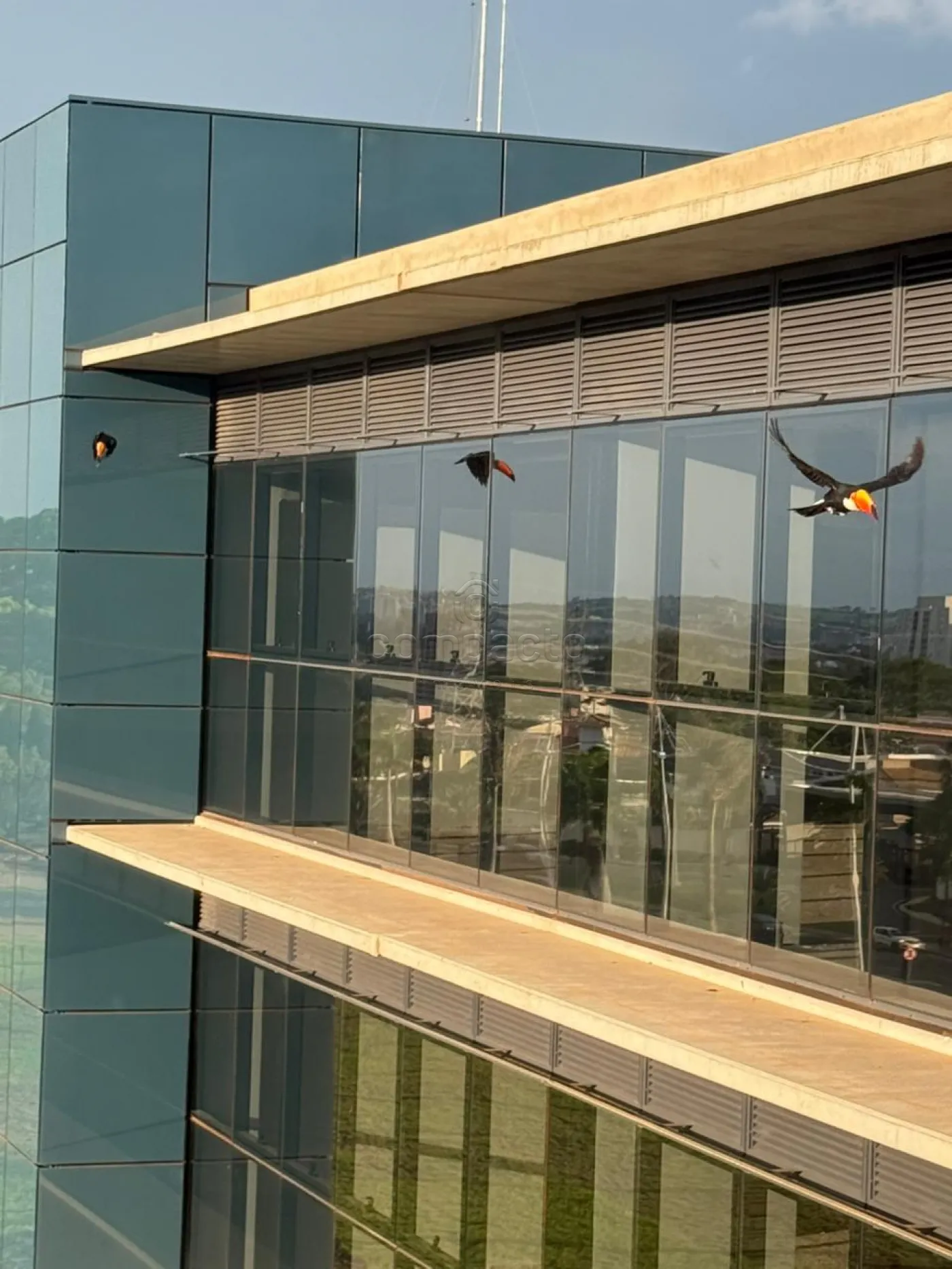 Alugar Comercial / SalaLoja Condom&iacute;nio em S&atilde;o Jos&eacute; do Rio Preto R$ 3.000,00 - Foto 7