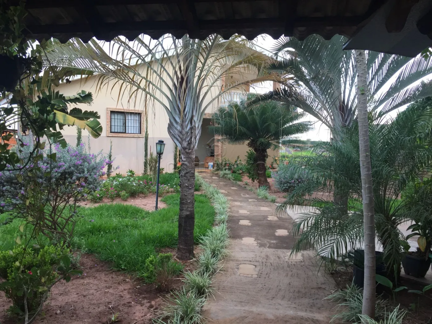 Chácara Chácara em Cedral