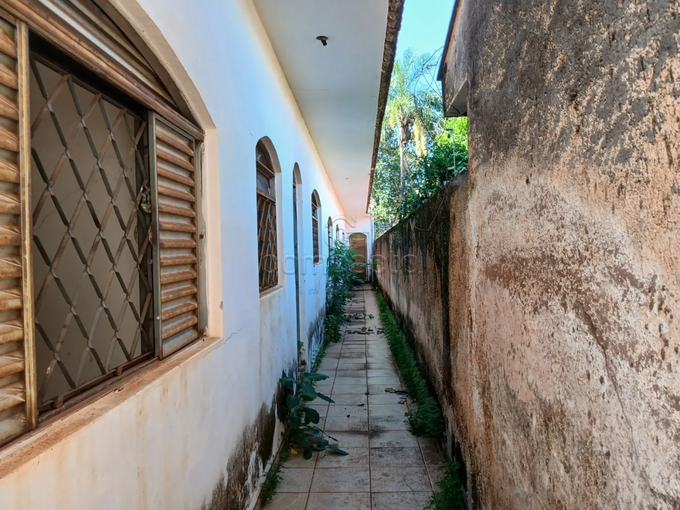 Comprar Casa / Padr&atilde;o em S&atilde;o Jos&eacute; do Rio Preto R$ 480.000,00 - Foto 23