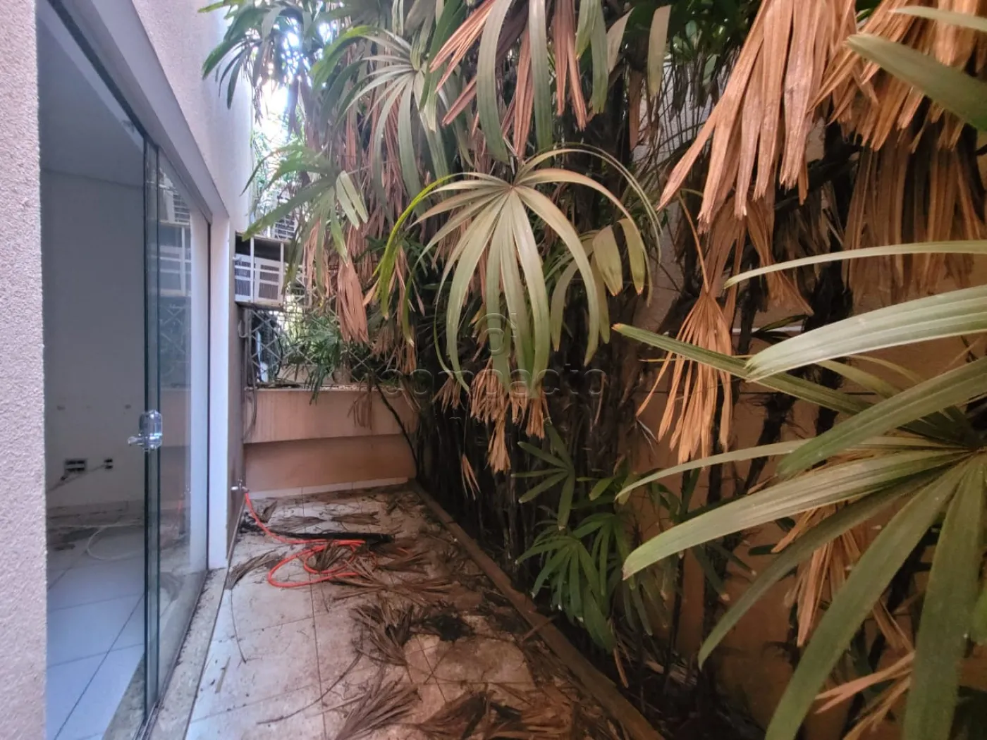 Alugar Comercial / SalaLoja Condom&iacute;nio em S&atilde;o Jos&eacute; do Rio Preto R$ 1.500,00 - Foto 2