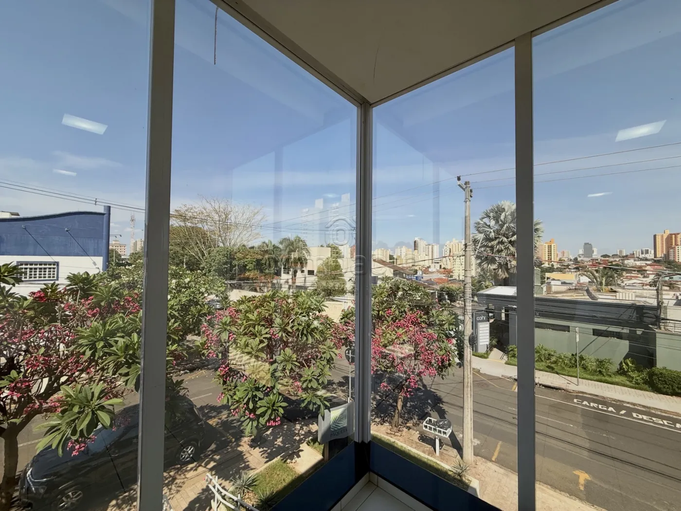 Alugar Comercial / SalaLoja Condom&iacute;nio em S&atilde;o Jos&eacute; do Rio Preto R$ 1.750,00 - Foto 9