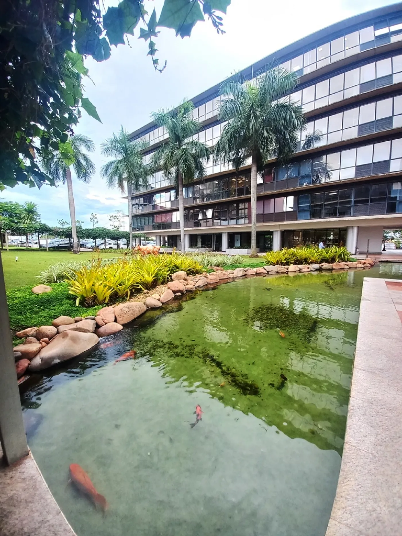 Alugar Comercial / SalaLoja Condom&iacute;nio em S&atilde;o Jos&eacute; do Rio Preto R$ 4.200,00 - Foto 11