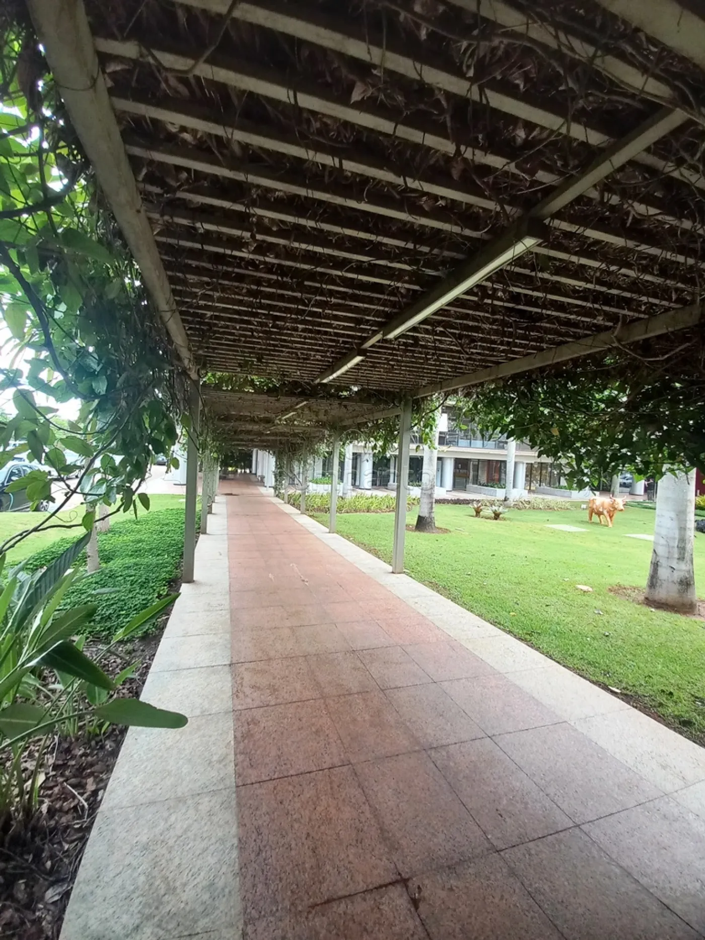 Alugar Comercial / SalaLoja Condom&iacute;nio em S&atilde;o Jos&eacute; do Rio Preto R$ 4.200,00 - Foto 12