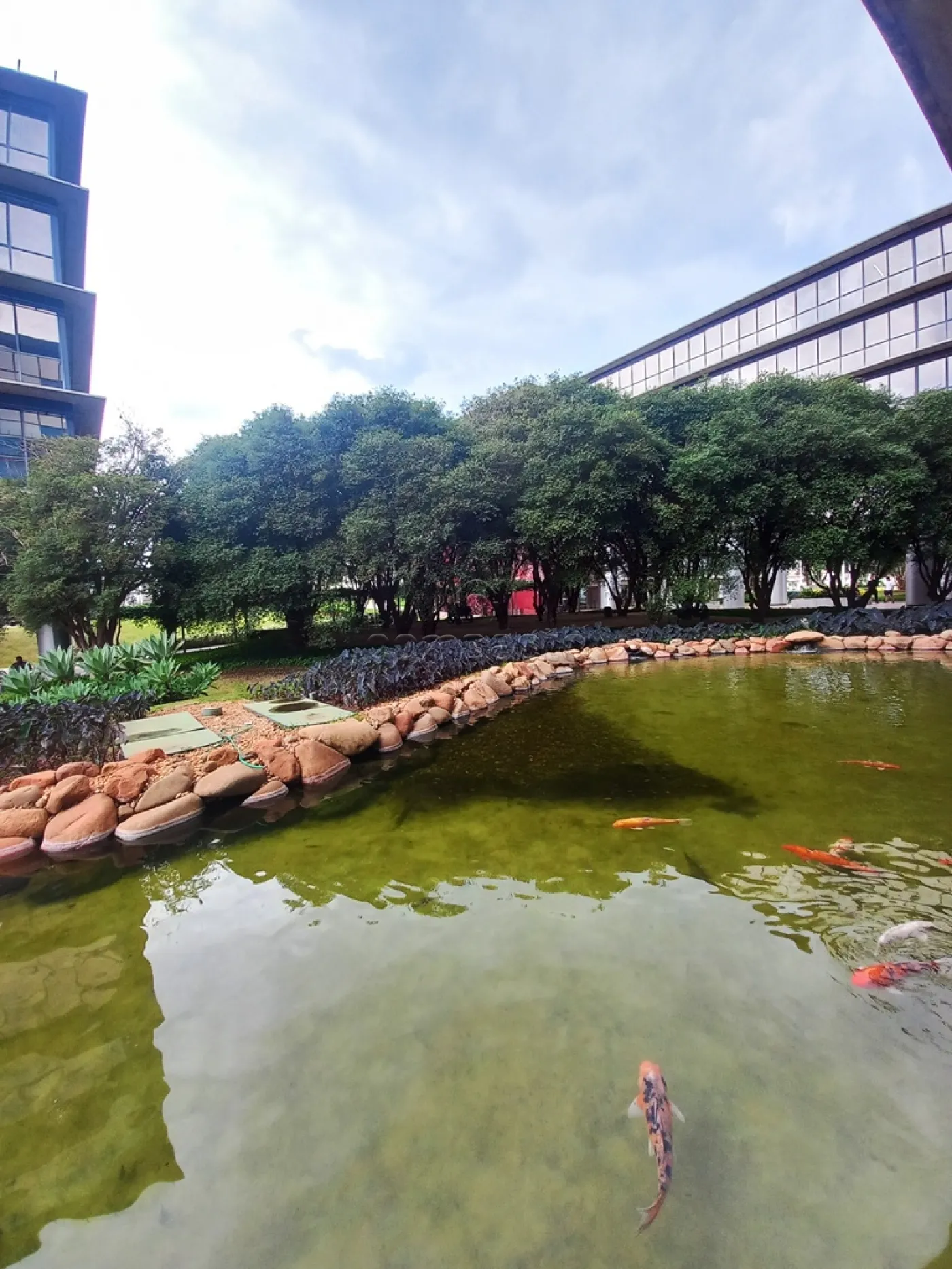 Alugar Comercial / SalaLoja Condom&iacute;nio em S&atilde;o Jos&eacute; do Rio Preto R$ 4.200,00 - Foto 14