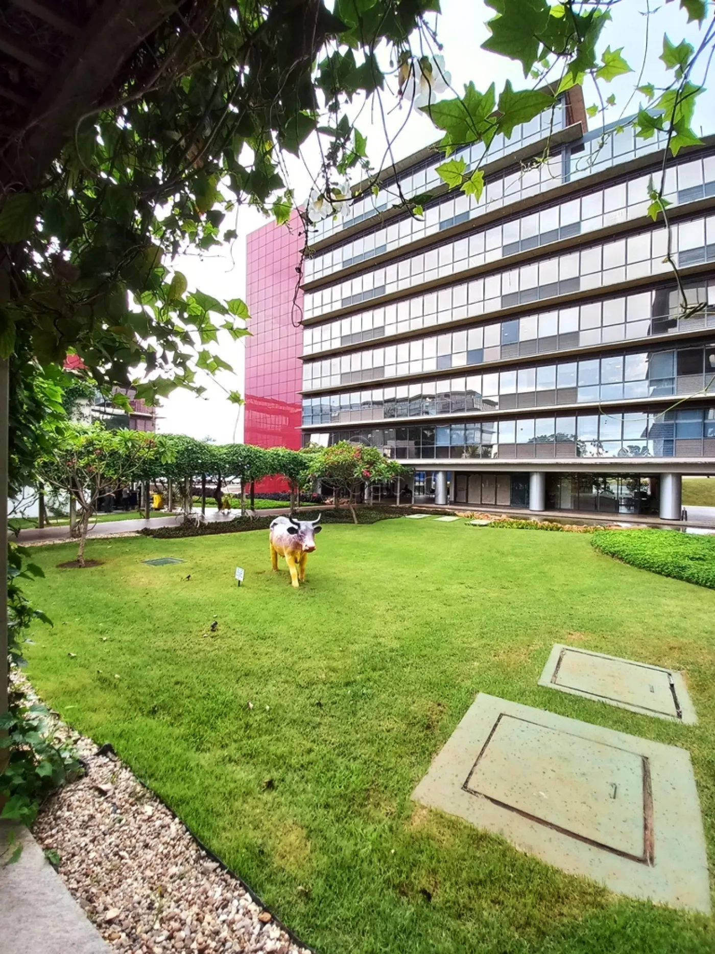 Alugar Comercial / SalaLoja Condom&iacute;nio em S&atilde;o Jos&eacute; do Rio Preto R$ 4.200,00 - Foto 16