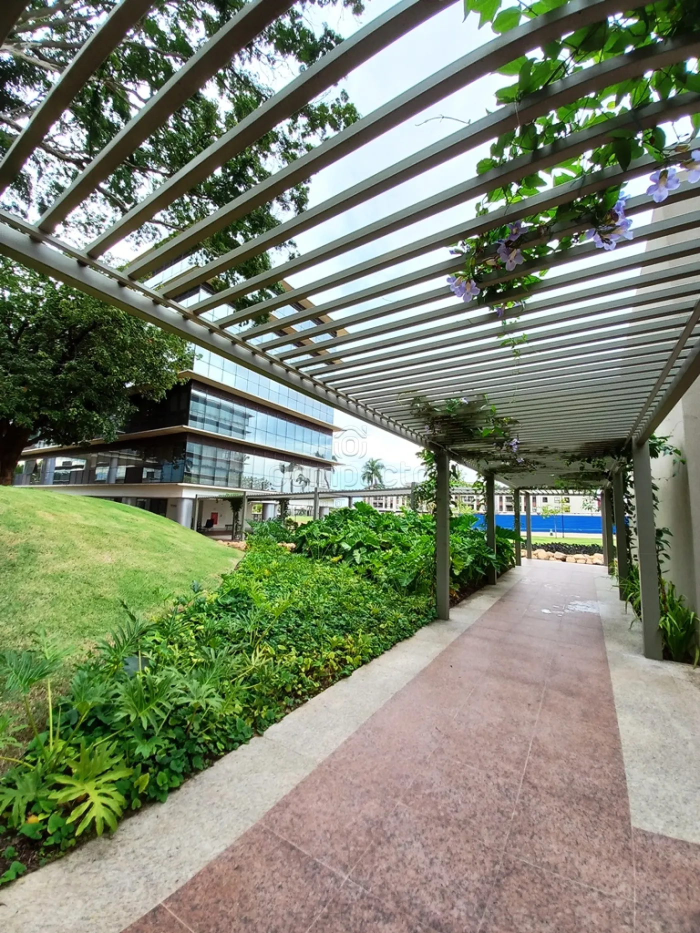 Alugar Comercial / SalaLoja Condom&iacute;nio em S&atilde;o Jos&eacute; do Rio Preto R$ 4.200,00 - Foto 19