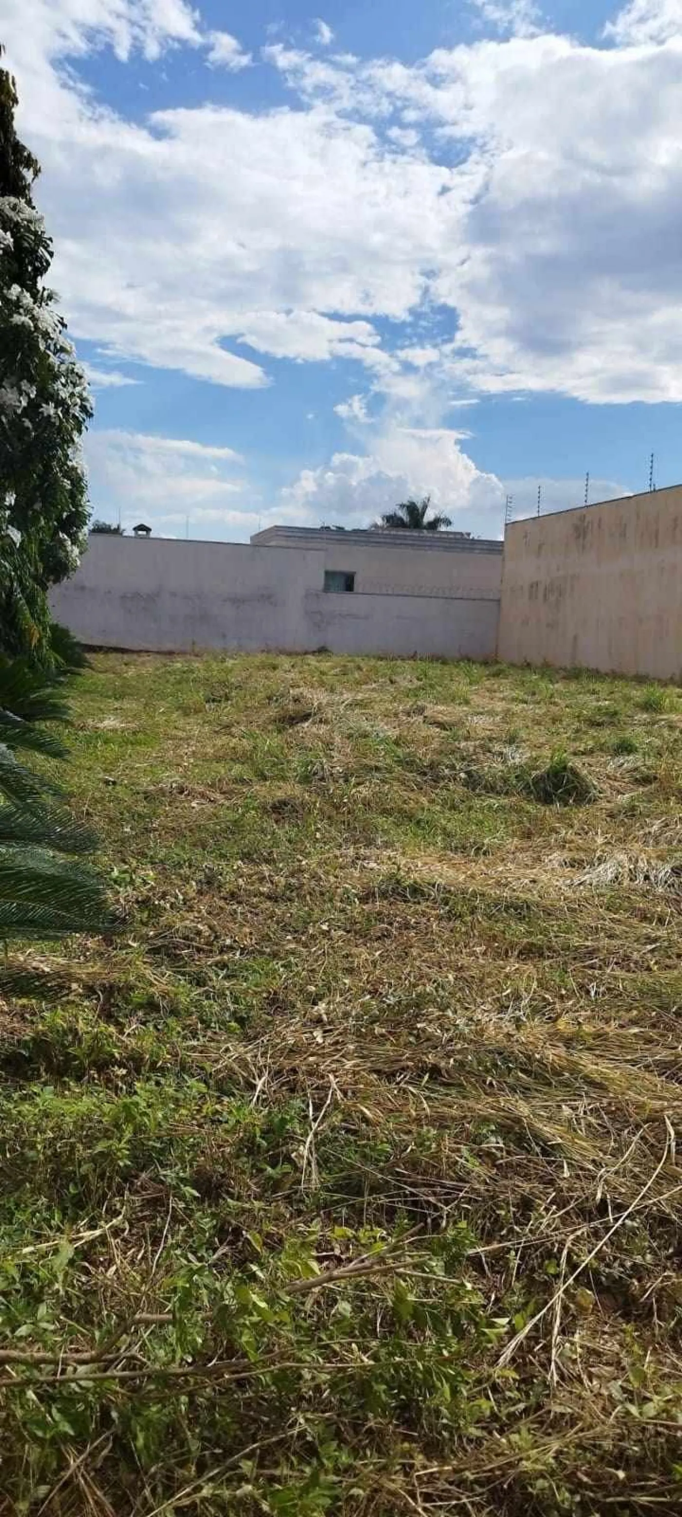 Comprar Terreno / Padr&atilde;o em S&atilde;o Jos&eacute; do Rio Preto R$ 420.000,00 - Foto 1