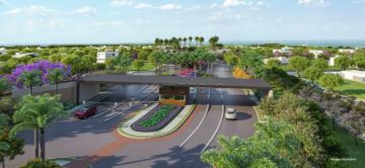Terreno Duplo | 492,86m² | Possibilidade de Desmembramento