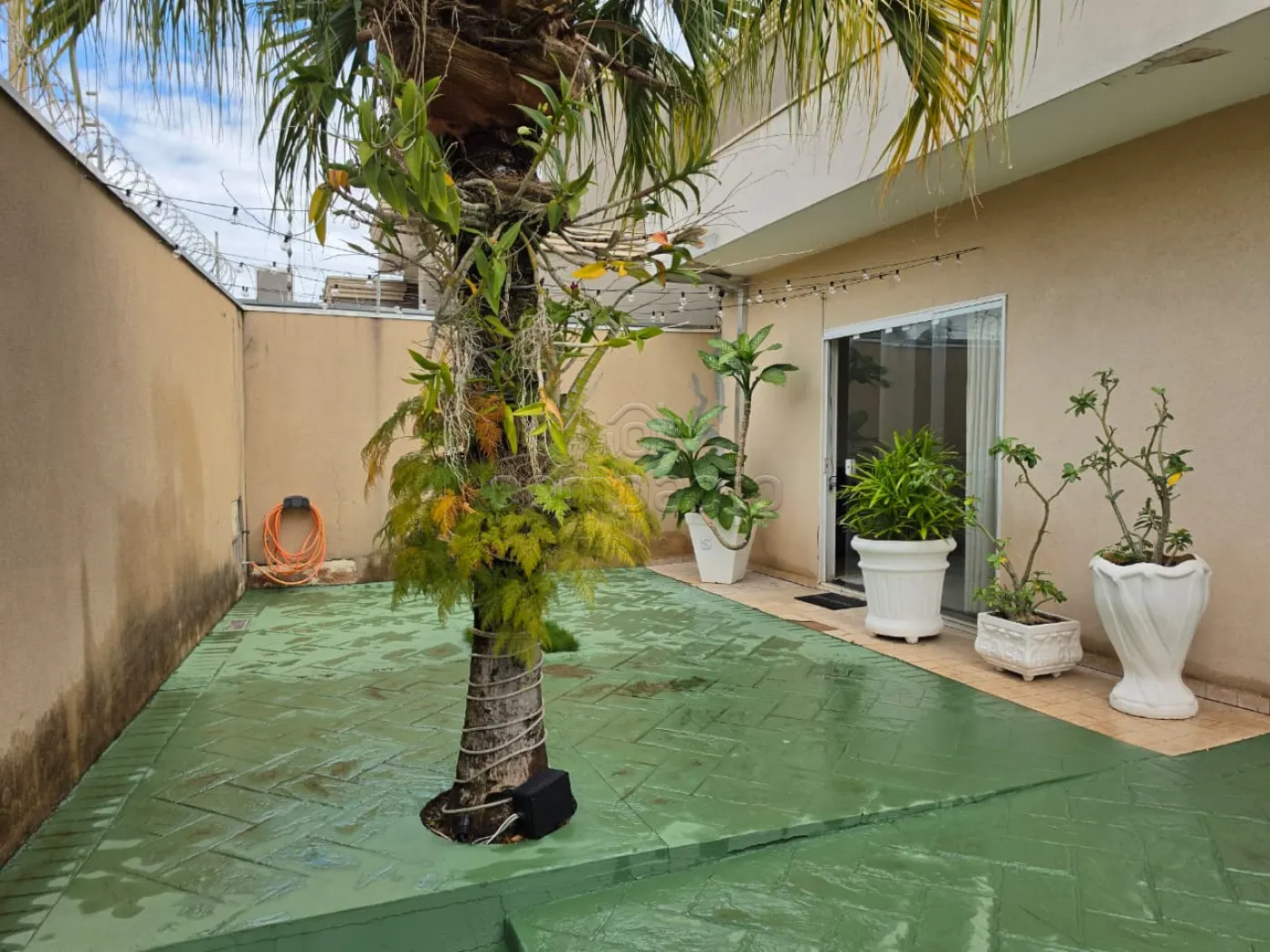 Alugar Casa / Padr&atilde;o em S&atilde;o Jos&eacute; do Rio Preto R$ 4.700,00 - Foto 1
