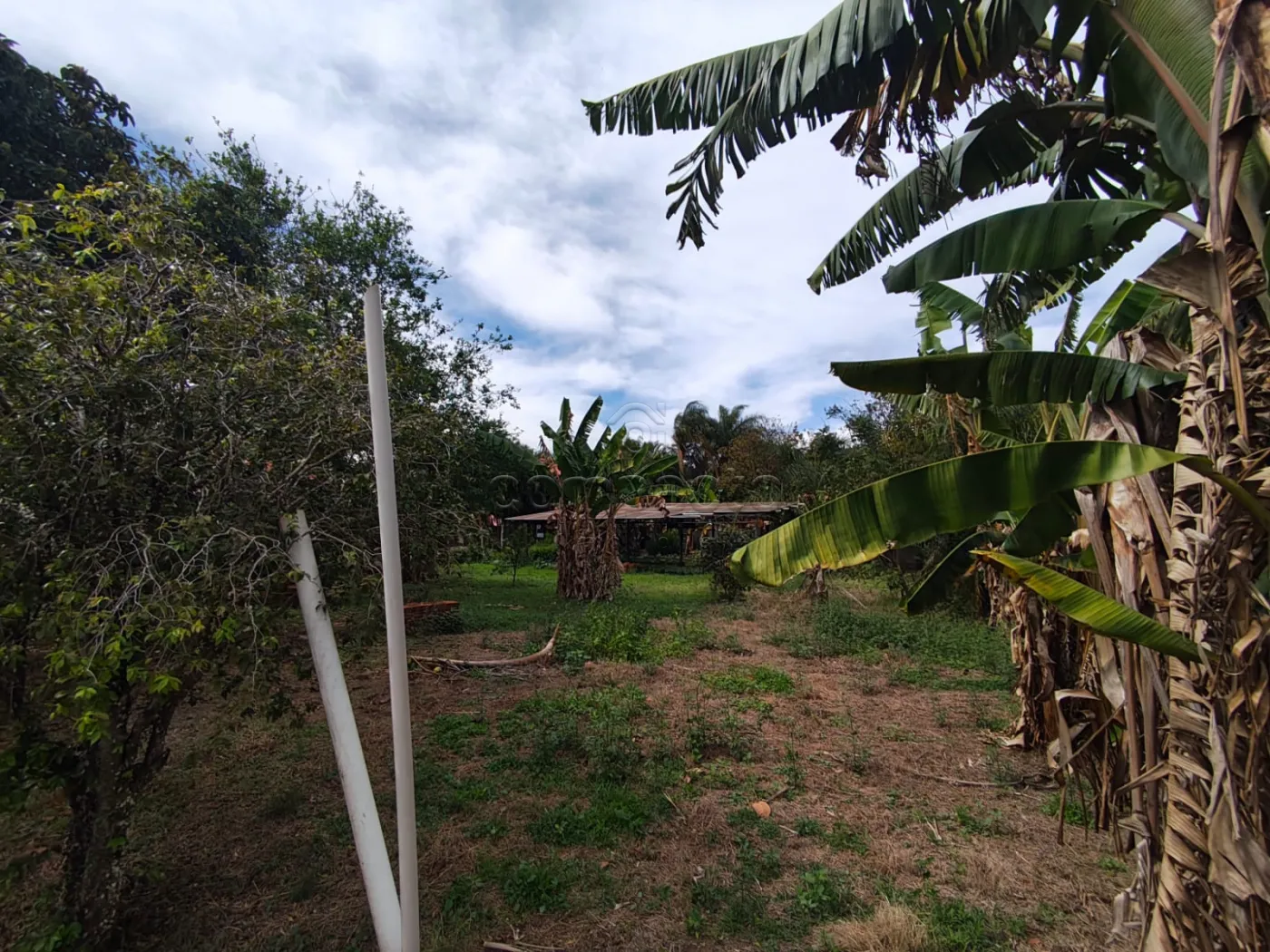 Alugar Casa / Condom&iacute;nio em S&atilde;o Jos&eacute; do Rio Preto R$ 10.000,00 - Foto 34