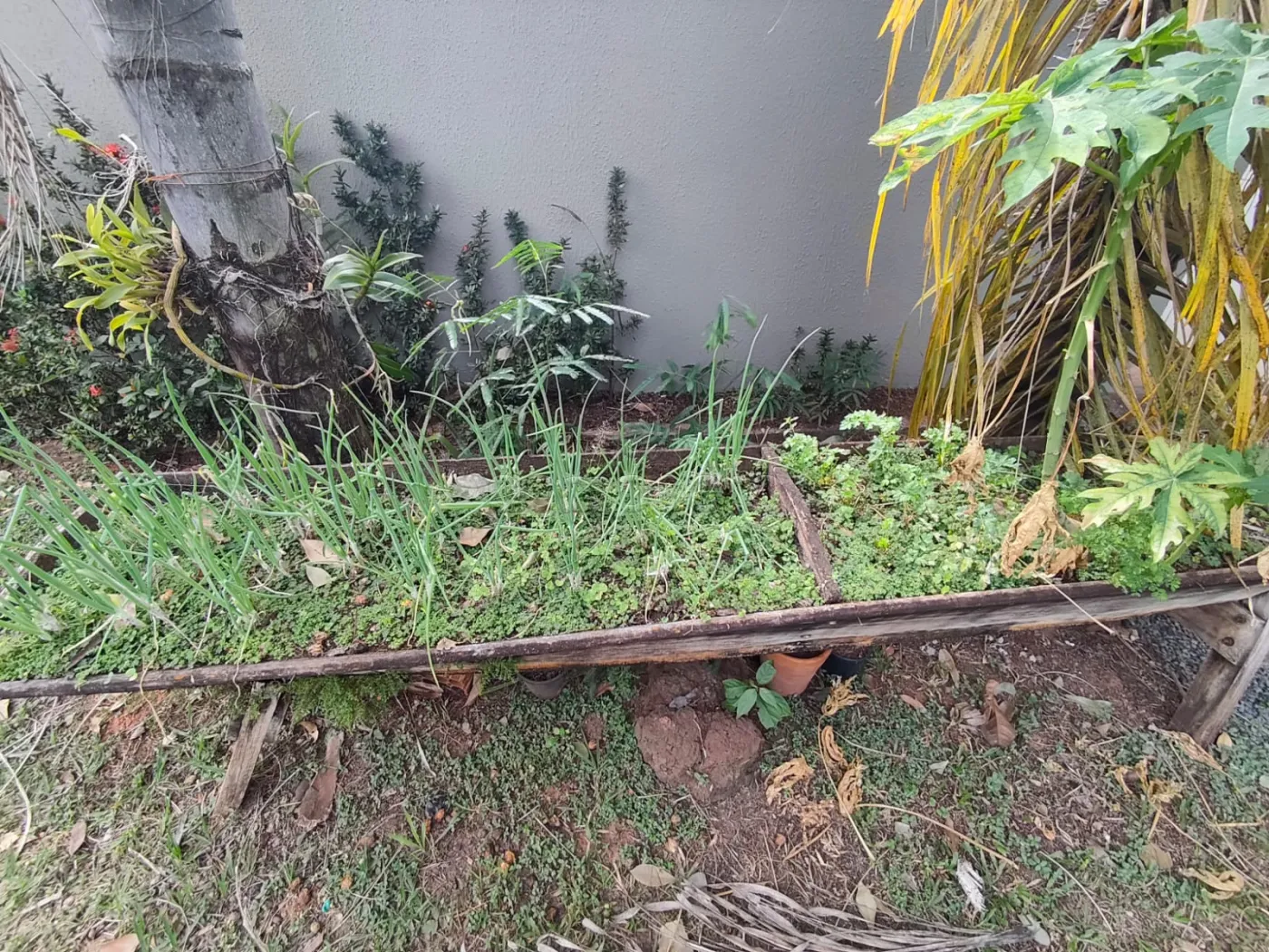 Alugar Casa / Condom&iacute;nio em S&atilde;o Jos&eacute; do Rio Preto R$ 10.000,00 - Foto 35