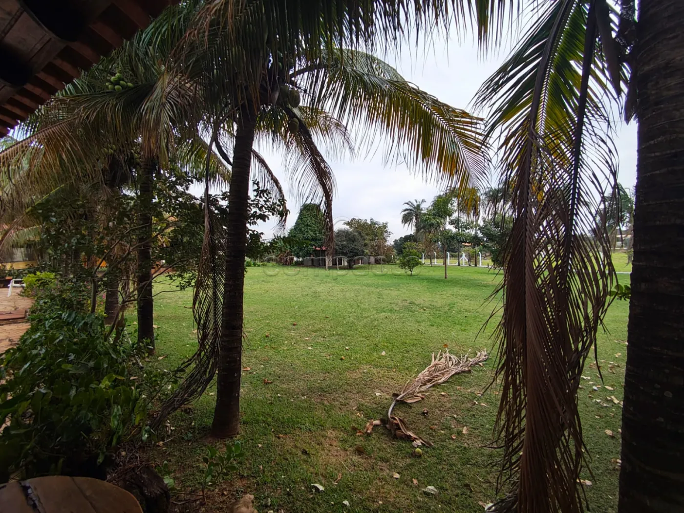 Alugar Casa / Condom&iacute;nio em S&atilde;o Jos&eacute; do Rio Preto R$ 10.000,00 - Foto 38
