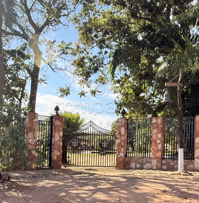 Comprar Rural / Fazenda em Cedral R$ 10.000.000,00 - Foto 60