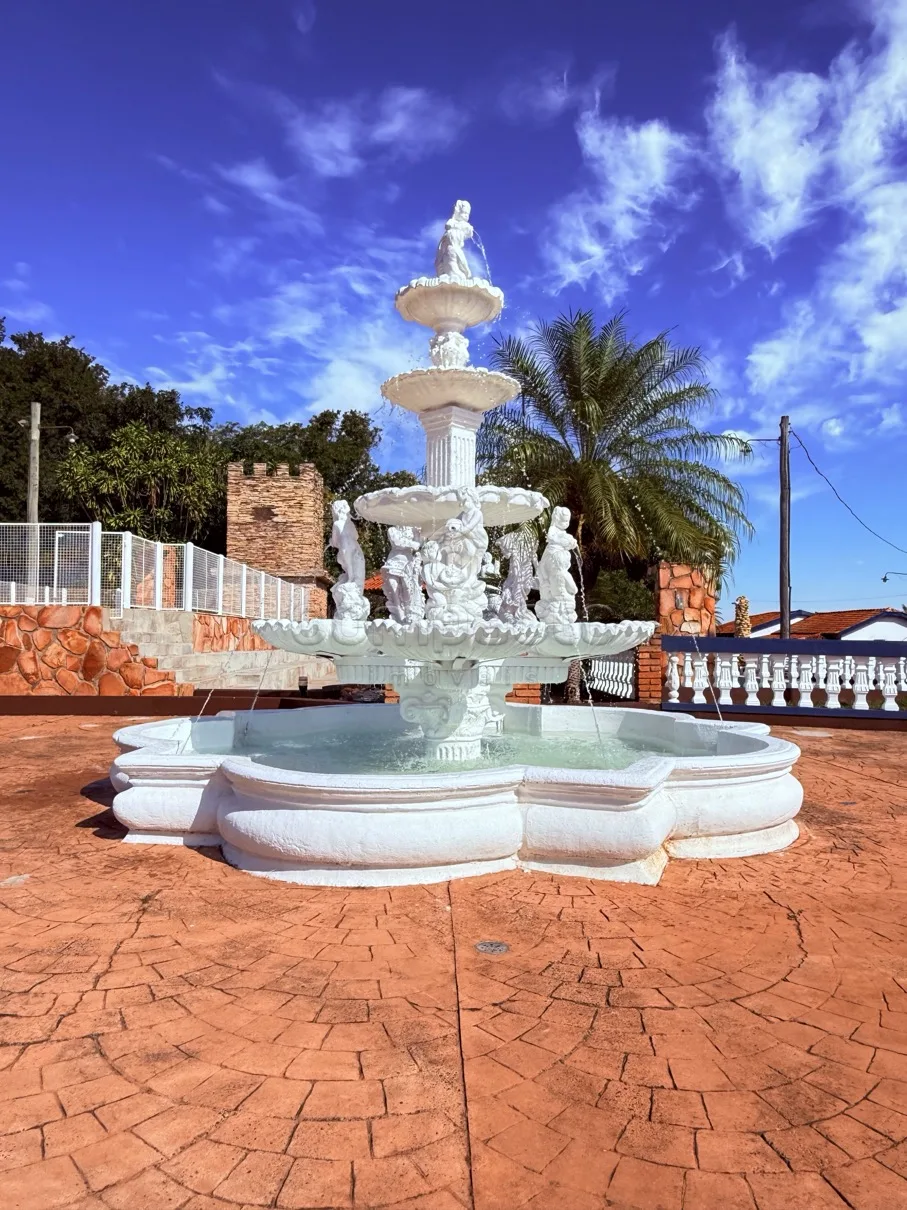 Comprar Rural / Fazenda em Cedral R$ 10.000.000,00 - Foto 12