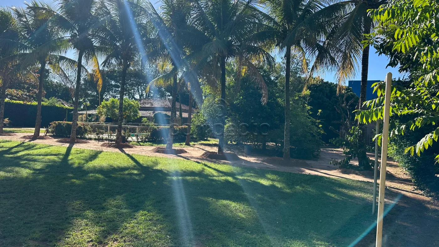 Comprar Rural / Ch&aacute;cara em S&atilde;o Jos&eacute; do Rio Preto R$ 790.000,00 - Foto 2