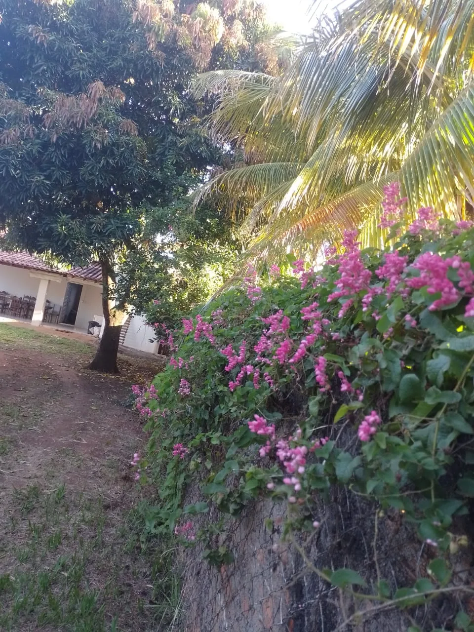 Comprar Rural / Ch&aacute;cara em S&atilde;o Jos&eacute; do Rio Preto R$ 400.000,00 - Foto 14