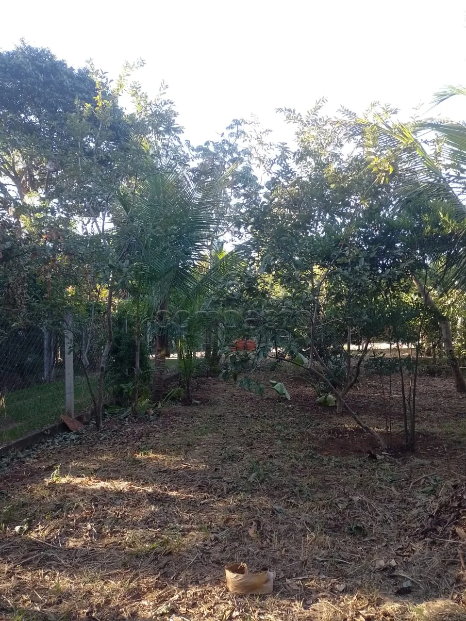 Comprar Rural / Ch&aacute;cara em S&atilde;o Jos&eacute; do Rio Preto R$ 400.000,00 - Foto 16