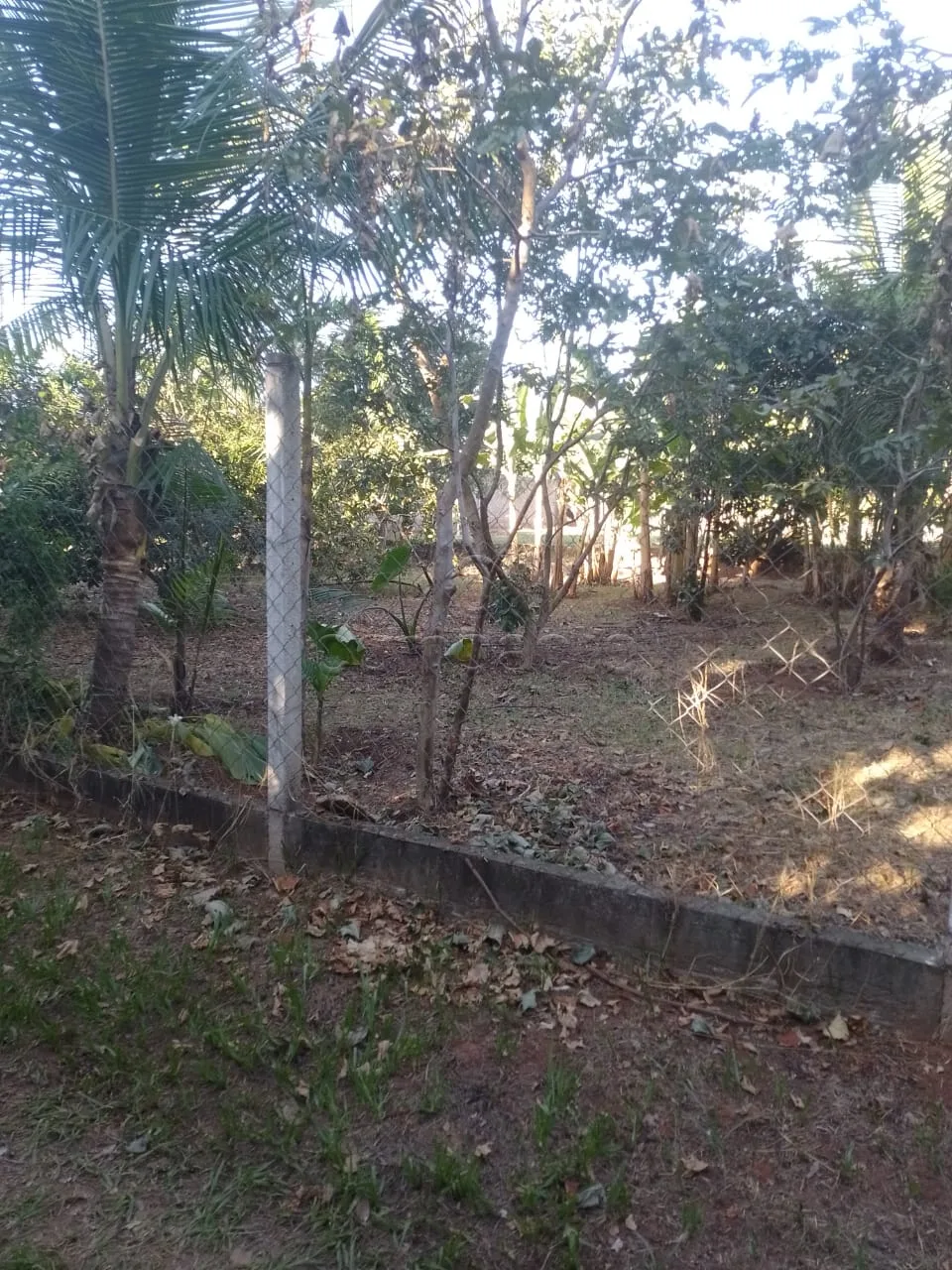 Comprar Rural / Ch&aacute;cara em S&atilde;o Jos&eacute; do Rio Preto R$ 400.000,00 - Foto 17
