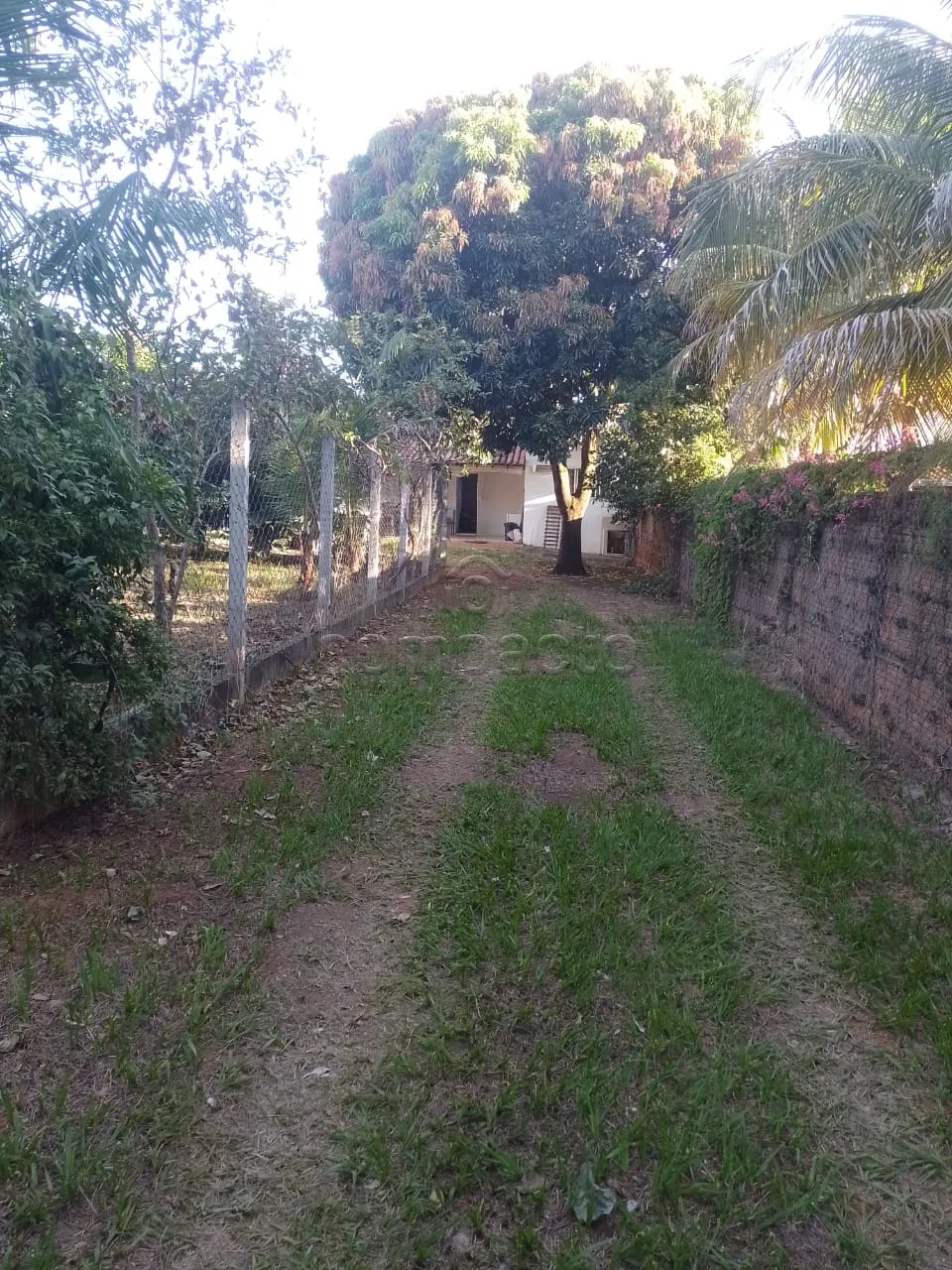 Comprar Rural / Ch&aacute;cara em S&atilde;o Jos&eacute; do Rio Preto R$ 400.000,00 - Foto 18