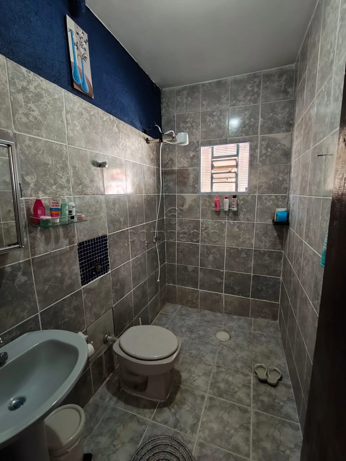 Alugar Casa / Padr&atilde;o em S&atilde;o Jos&eacute; do Rio Preto R$ 1.760,00 - Foto 17