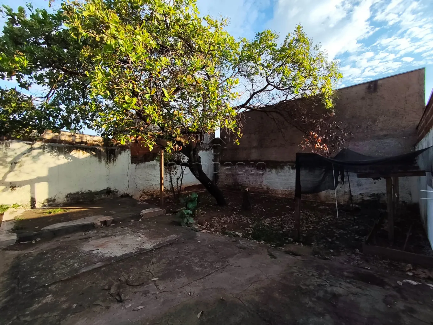 Alugar Casa / Padr&atilde;o em S&atilde;o Jos&eacute; do Rio Preto R$ 2.000,00 - Foto 25