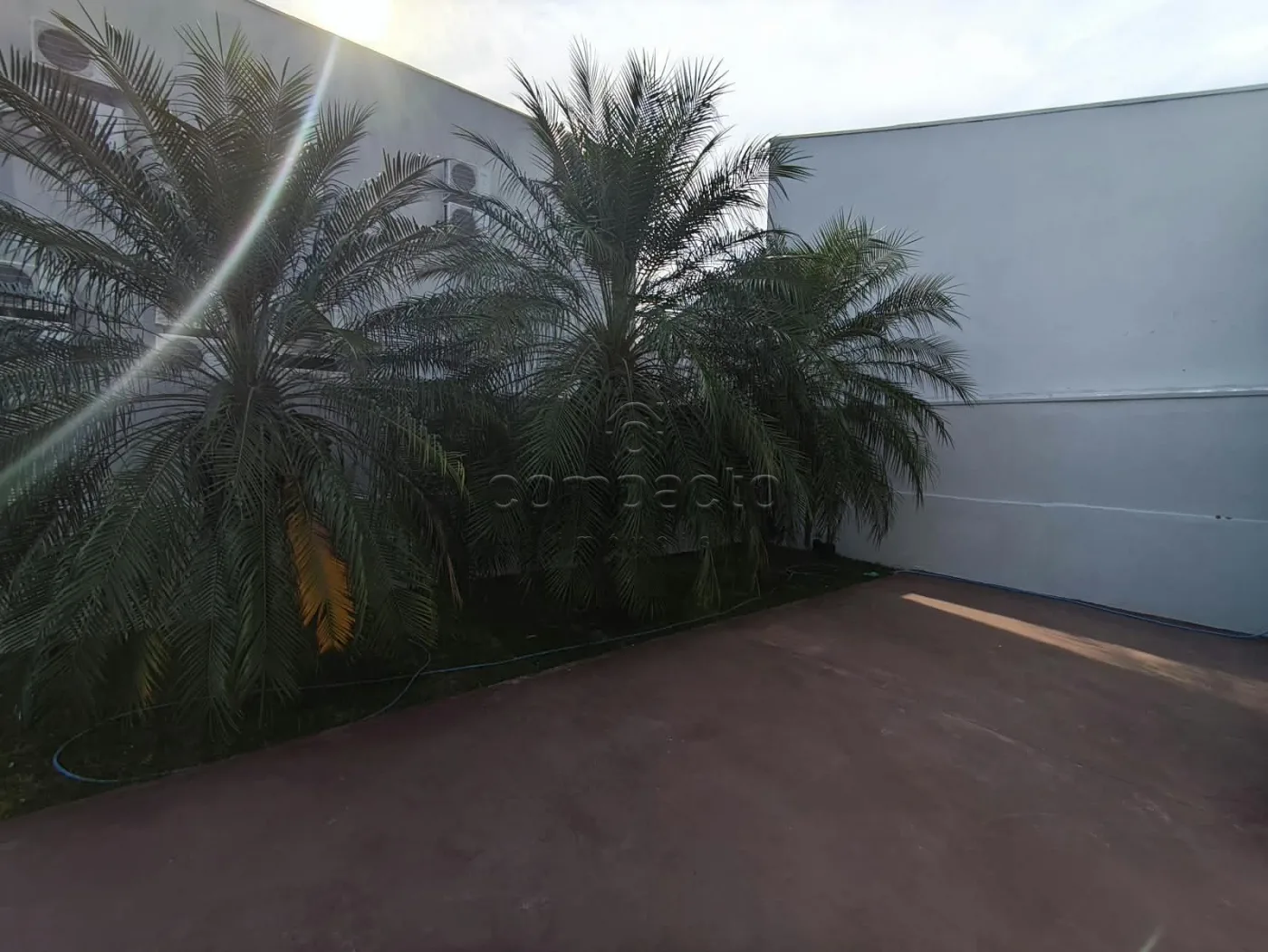 Alugar Comercial / Sal&atilde;o em S&atilde;o Jos&eacute; do Rio Preto R$ 9.500,00 - Foto 24