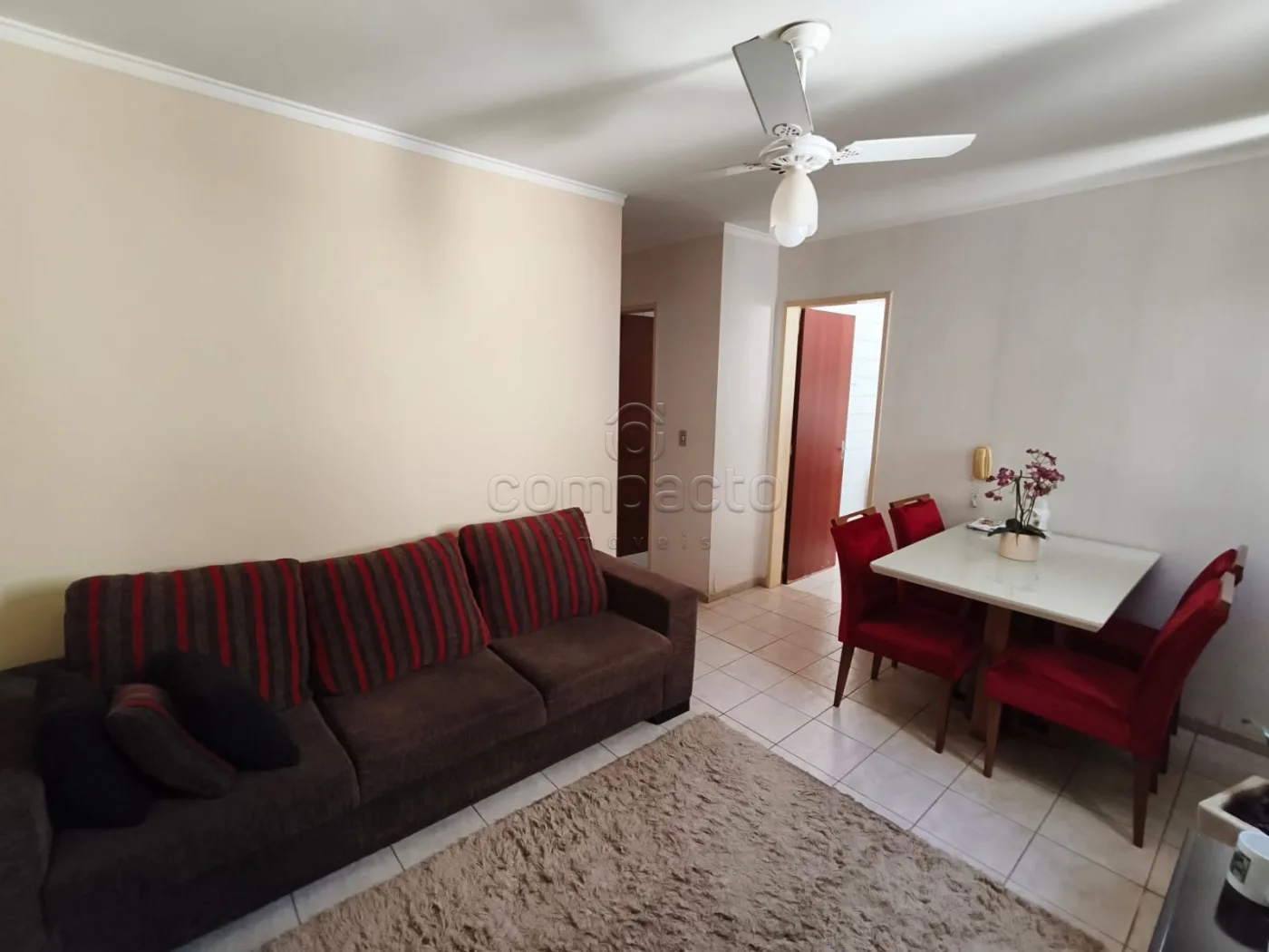 Alugar Apartamento / Padr&atilde;o em S&atilde;o Jos&eacute; do Rio Preto R$ 1.450,00 - Foto 1