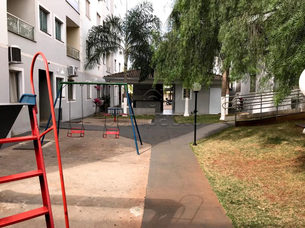 Alugar Apartamento / Padr&atilde;o em S&atilde;o Jos&eacute; do Rio Preto R$ 900,00 - Foto 16