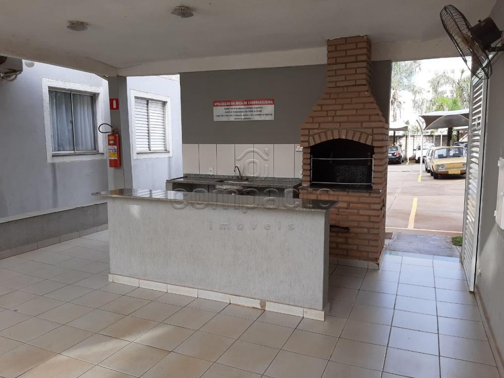 Alugar Apartamento / Padr&atilde;o em S&atilde;o Jos&eacute; do Rio Preto R$ 900,00 - Foto 15