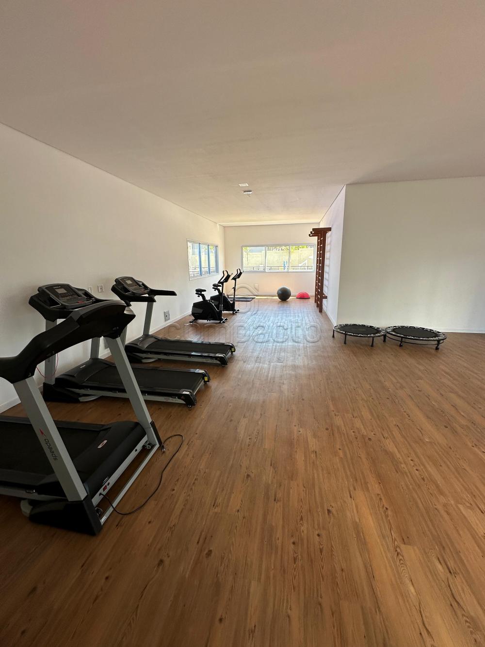 Comprar Apartamento / Padr&atilde;o em S&atilde;o Jos&eacute; do Rio Preto R$ 270.000,00 - Foto 12